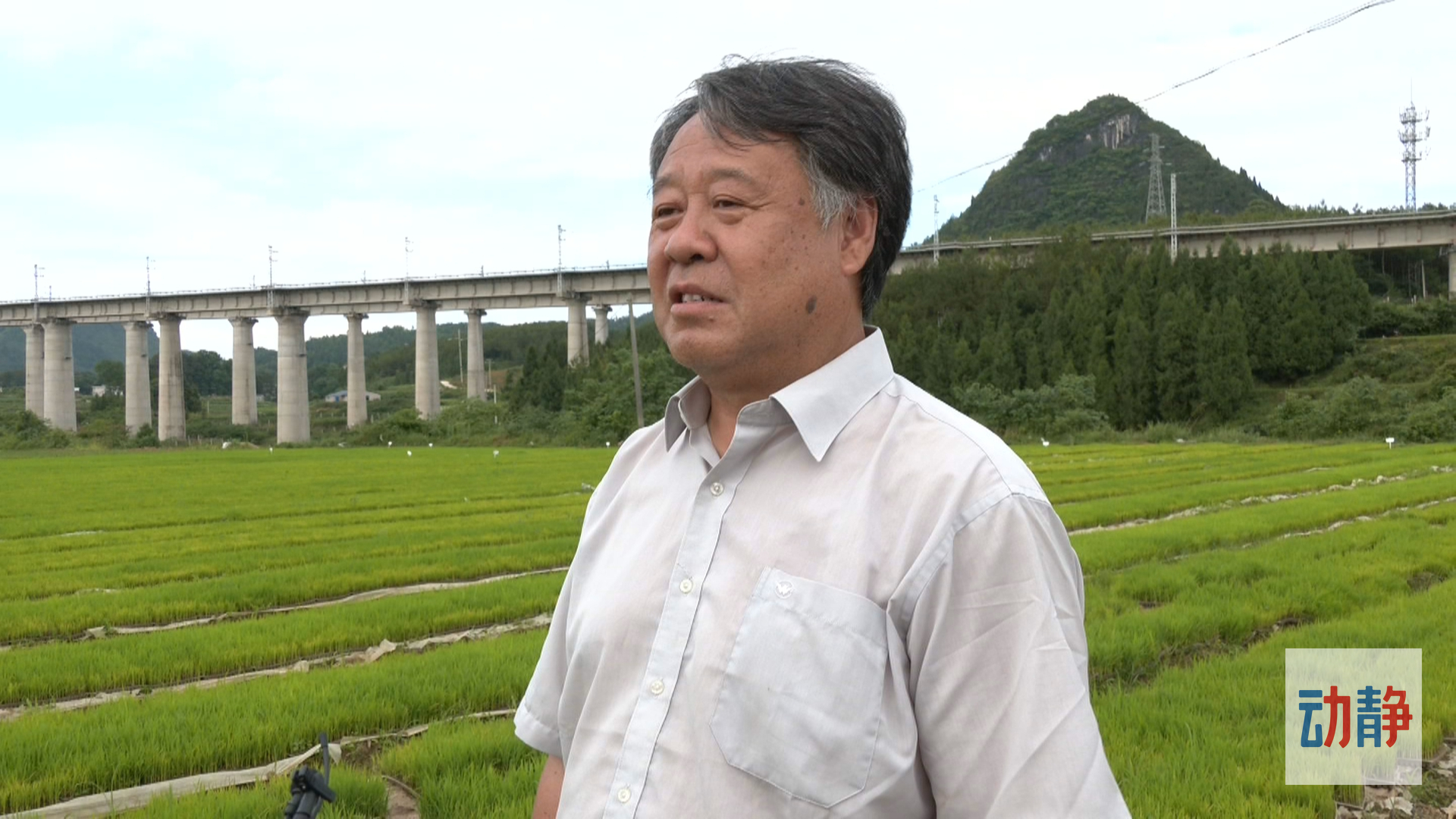 中国农业大学教授 宋建农