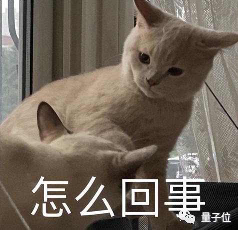 相册照片被谷歌AI举报:全网封杀 警方介入 但也喊冤无门 第6张-心情说说 相册照片被谷歌AI举报:全网封杀 警方介入 但也喊冤无门