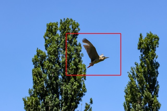 【有料评测】佳能EOS R7评测:全能的便携微单相机