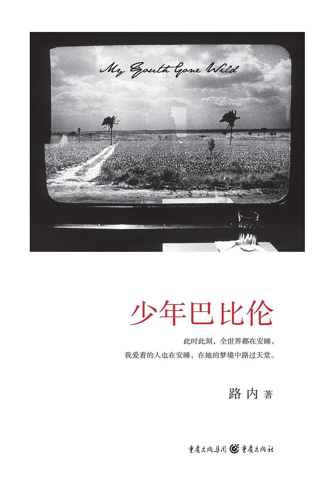 《少年巴比伦》，作者: 路内，版本: 重庆出版社 2008年8月