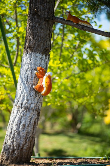 城市绿心森林公园内景观/摄影 郑立文