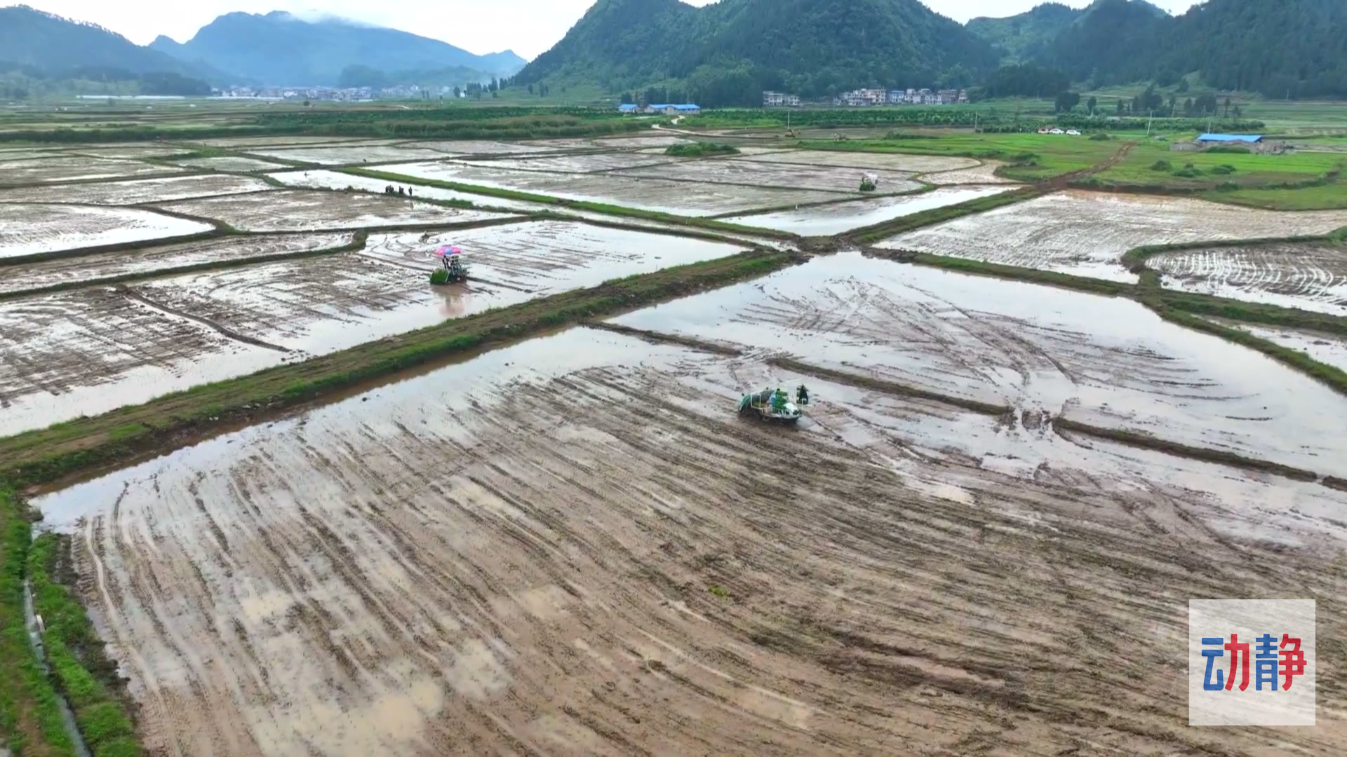 大国“粮”策丨贵州农业生产托管探索种地新模式