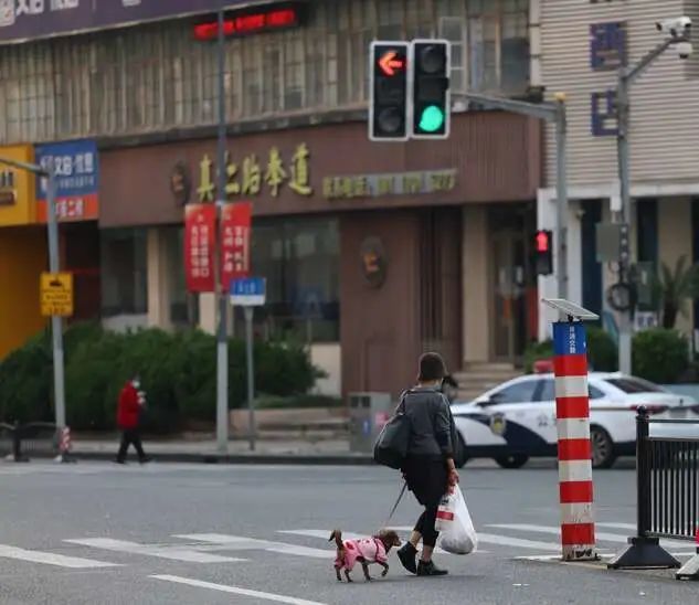 电话亭女士和她的小狗 参考资料：中国青年报