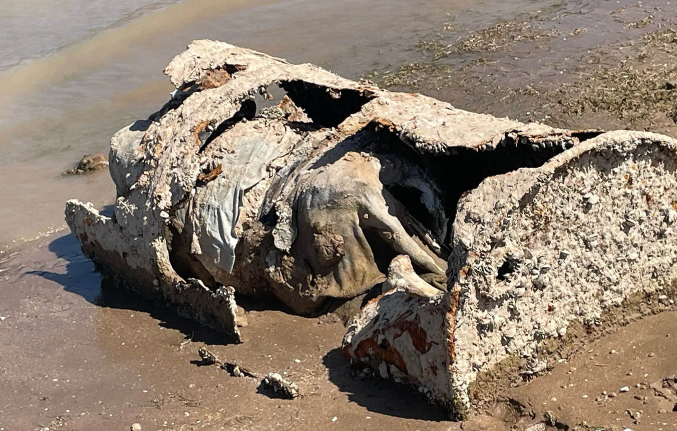 裸露在米德湖水底的沉船以及装着尸骸的油桶。
