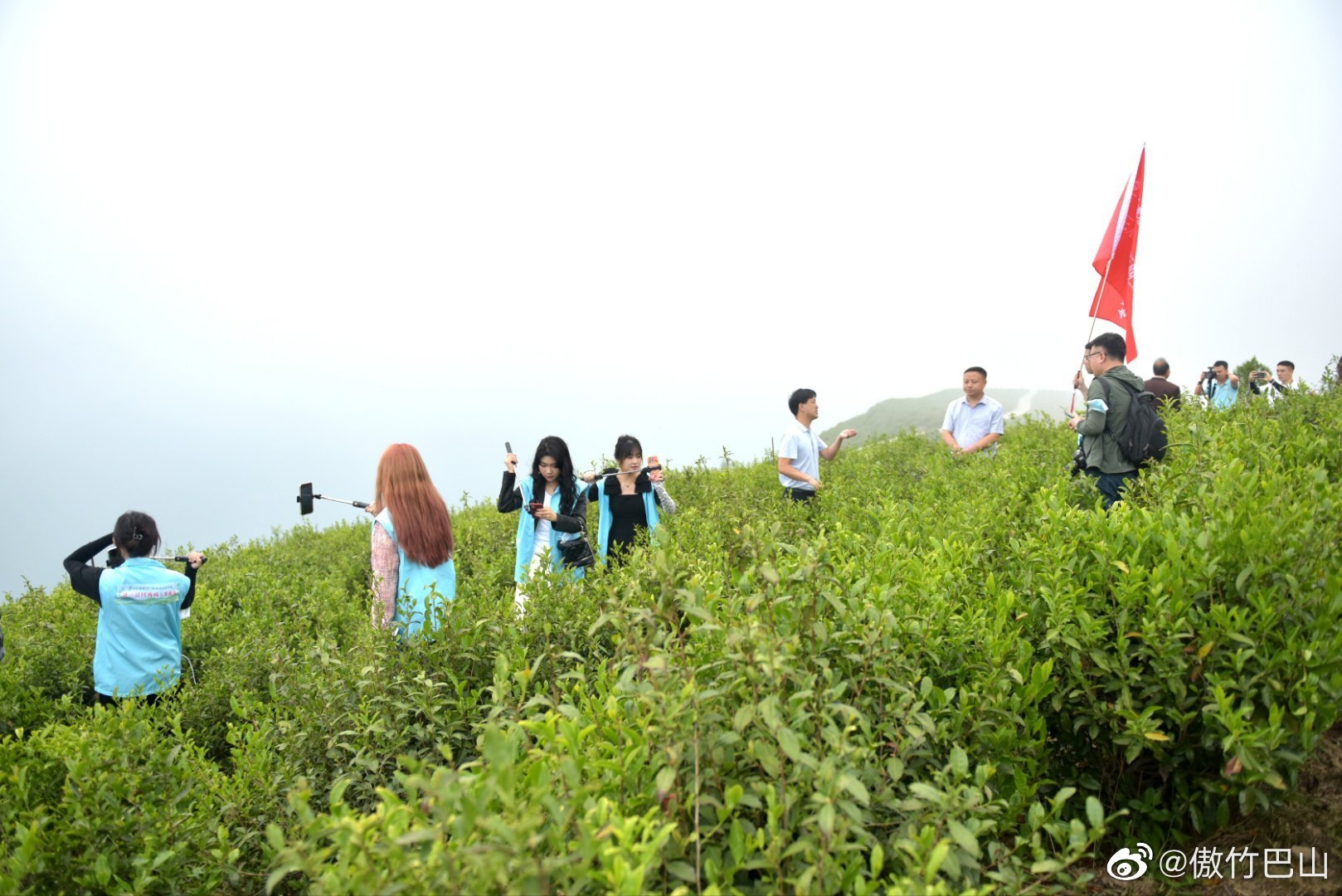 巴庙镇马头岭村,与安康市紫阳县接壤,是陕西怡溪春茶业科技有限公司的