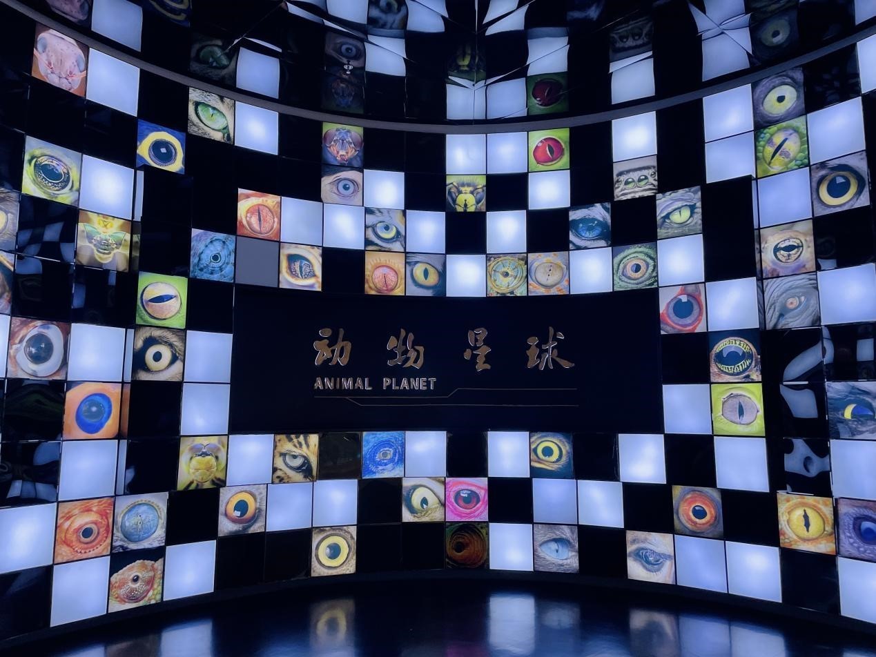 白刁尹摄)贝林厅非洲野生动物标本(央广网发 田馨雨摄)以云南西双版纳