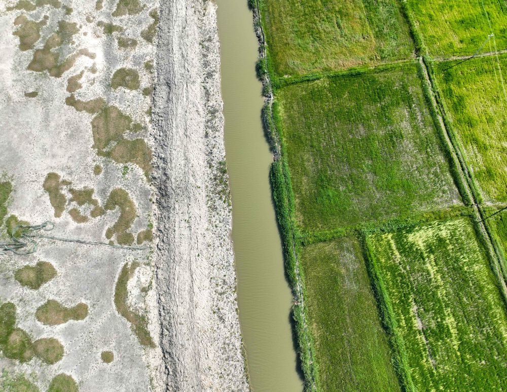 在吉林,盐碱地具体分布在西部的白城,松原,双辽,农安等地.