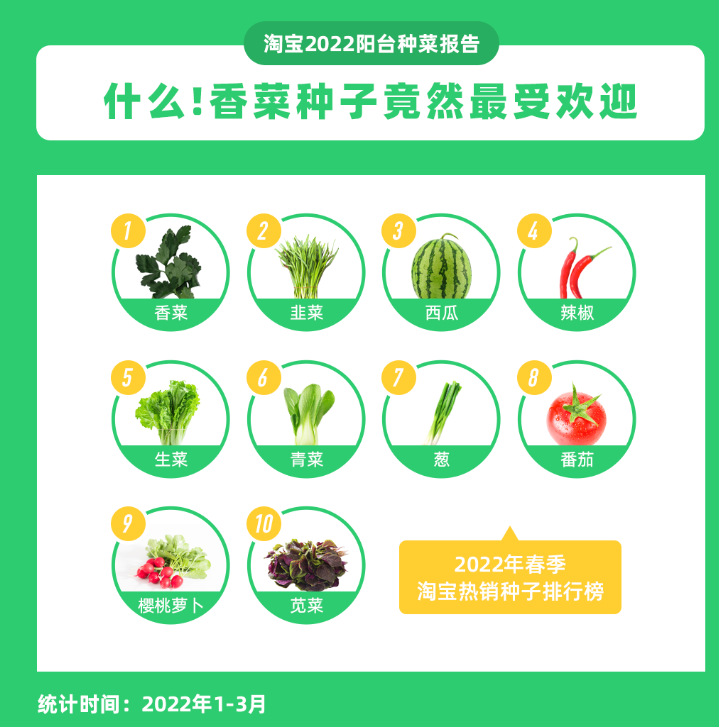 我在阳台疯狂种菜,有2000种神器,成行业TOP3