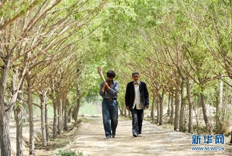 艾买尔&middot;依提生前和儿子一起在陵园巡查（2011年4月29日摄）。