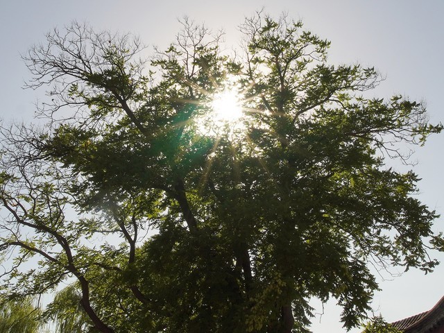 【有料评测】超广角定焦 索尼E 11mm F1.8镜头评测