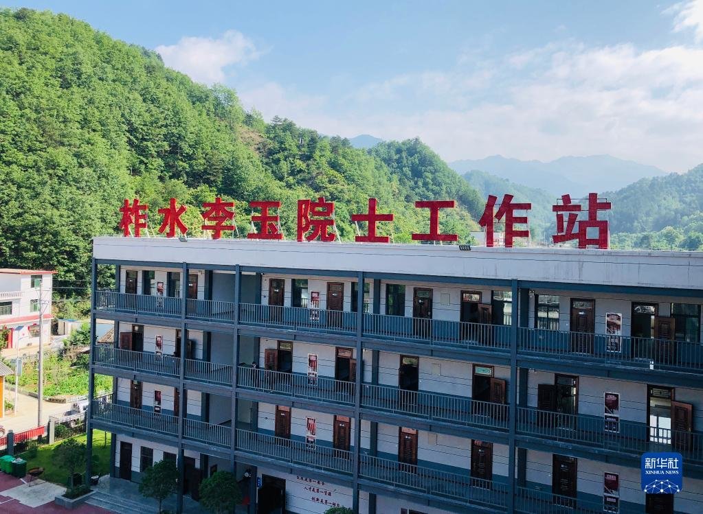 中国工程院院士、菌物学专家李玉在陕西省柞水县建立的院士工作站（资料照片）。 新华社发
