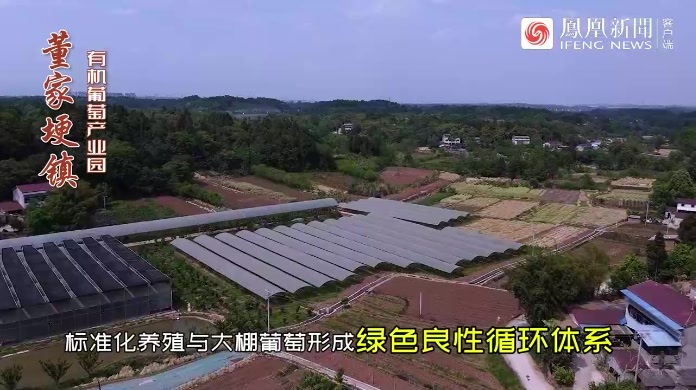 董家埂镇:一个乡村振兴示范高地|成都东部新区两周年