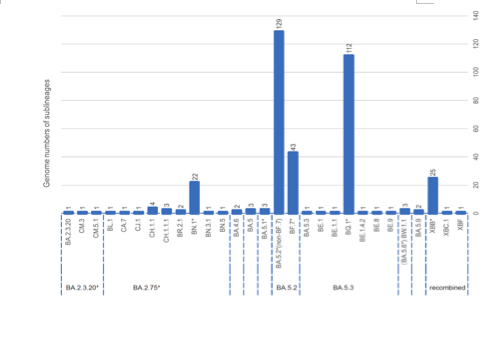 图为研究团队发布的不同毒株的患者情况。研究团队供图