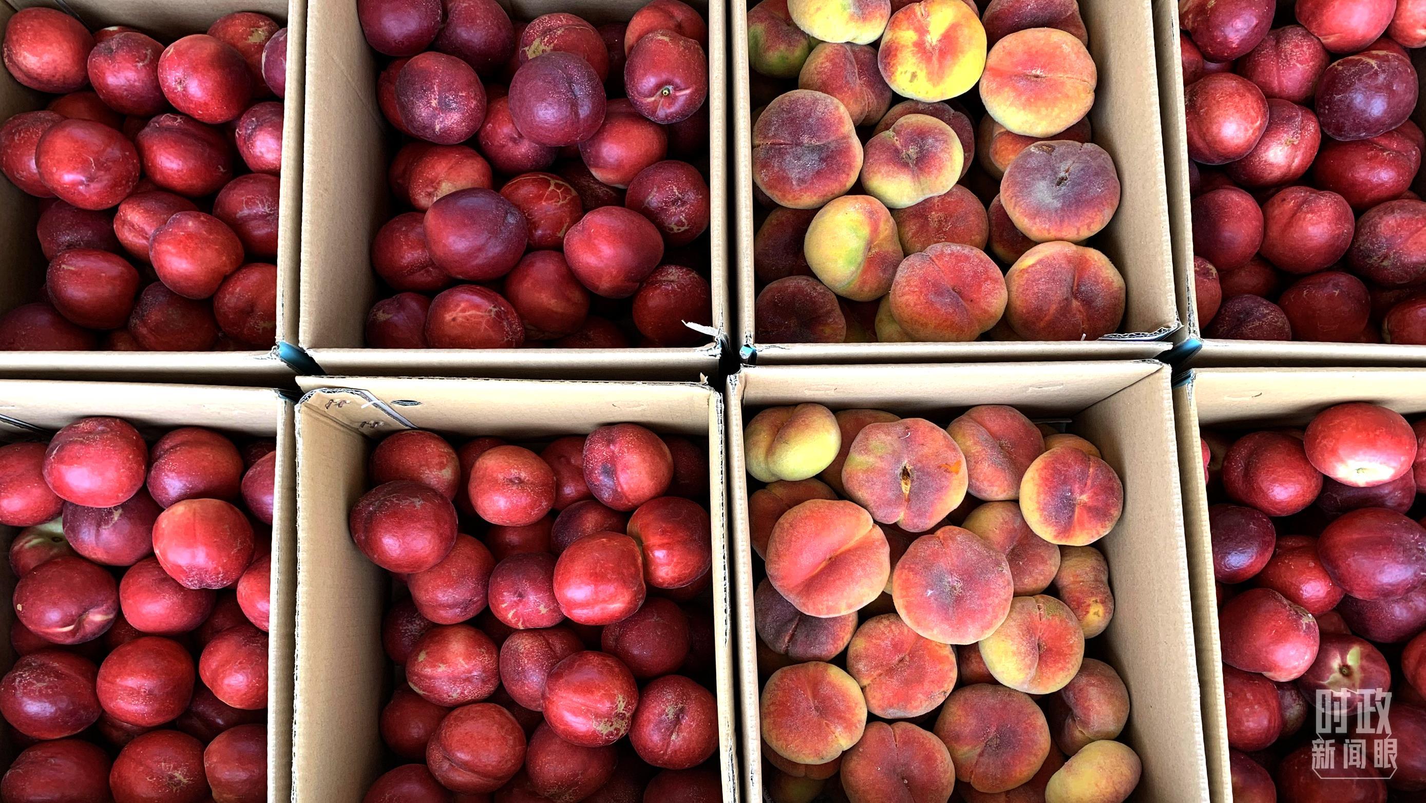 △一四三团九连出产的鲜桃。(总台央视记者段德文拍摄)