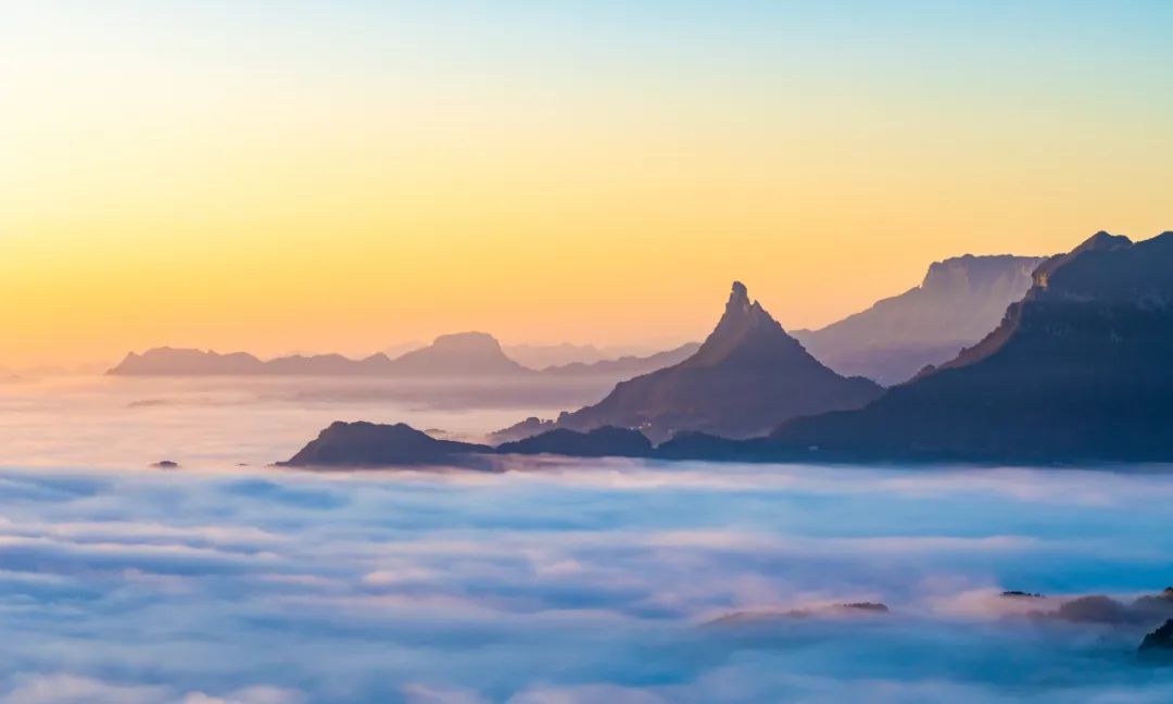 胡波摄(中经视觉)