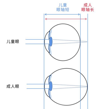 D5E211433F2993F5E8458F3574DAF5490B56F335_size507_w340_h381.png