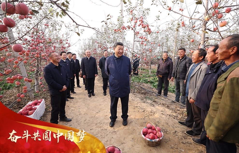 2022年10月26日至28日，习近平总书记在陕西省延安市、河南省安阳市考察。这是26日下午，习近平总书记在延安市安塞区高桥镇南沟村苹果园同老乡们亲切交流。