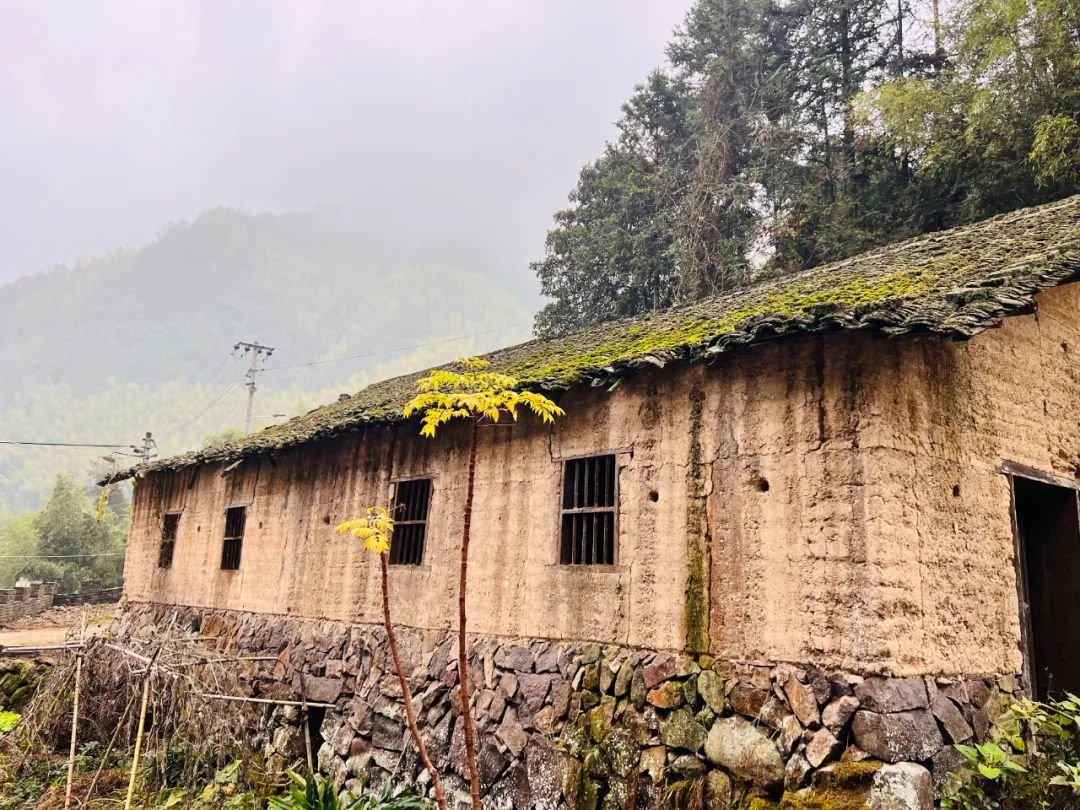 松阳县叶村乡南岱村内即将开始整修的老屋。