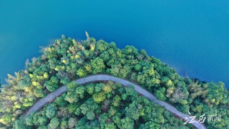 中国这十年•江西 | 红土圣地竞风流