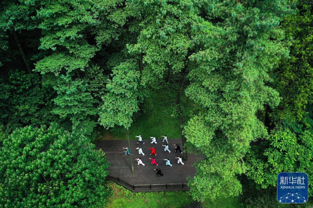 市民在贵阳市长坡岭国家级森林公园里健身(2022年7月13日摄,无人机