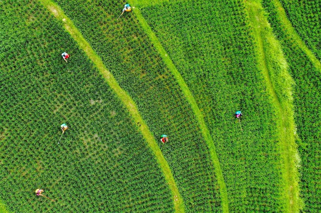 胡攀学摄(中经视觉)