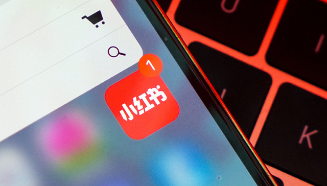 畸形的小红书、抖音打卡 从不要脸到不要命 第9张-心情说说 畸形的小红书、抖音打卡 从不要脸到不要命 第9张