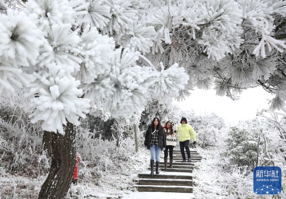 这是12月2日拍摄的雪后南岳衡山。新华社发（曹正平 摄）