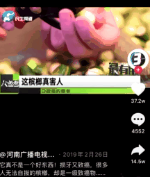 36岁男歌手 嚼槟榔致死