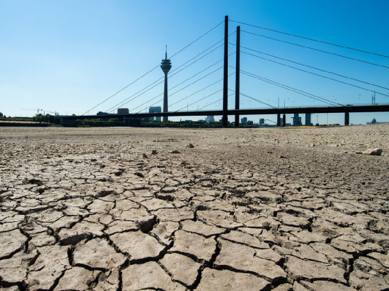 突发!联合国称,上海将在78年后被淹没!这场2.7亿人的灾难已无法阻止…