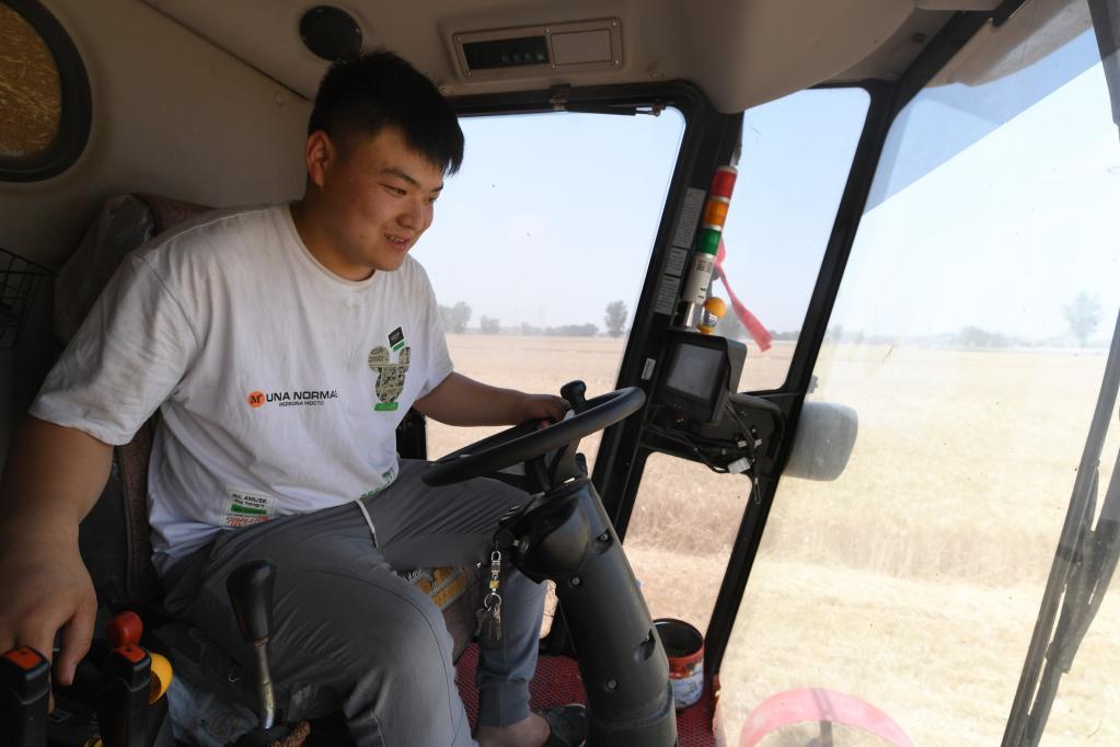 6月2日,在河南省周口市扶沟县练寺镇下马刘村,刘家骏在驾驶收割机作业