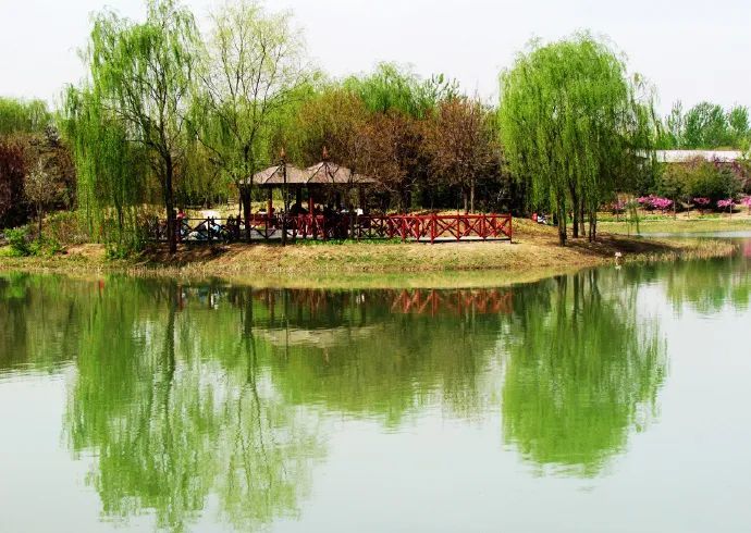 这个北京最大的郊野公园,已经进入一年中颜值最高峰时期,别再错过了