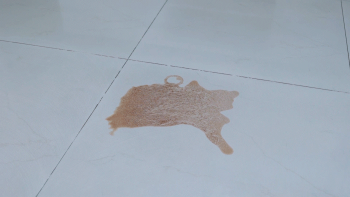 更纯粹的扫地集尘体验 石头扫拖机器人T8智能集尘版评测