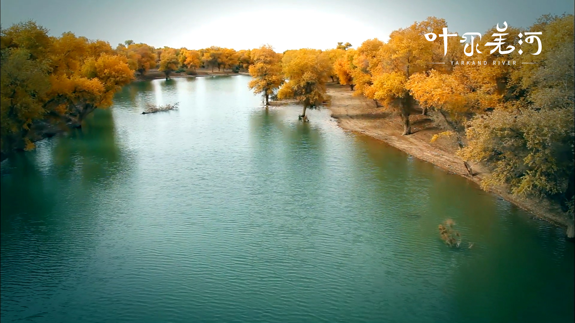 4k纪录片叶尔羌河启动打造上海文化润疆新名片