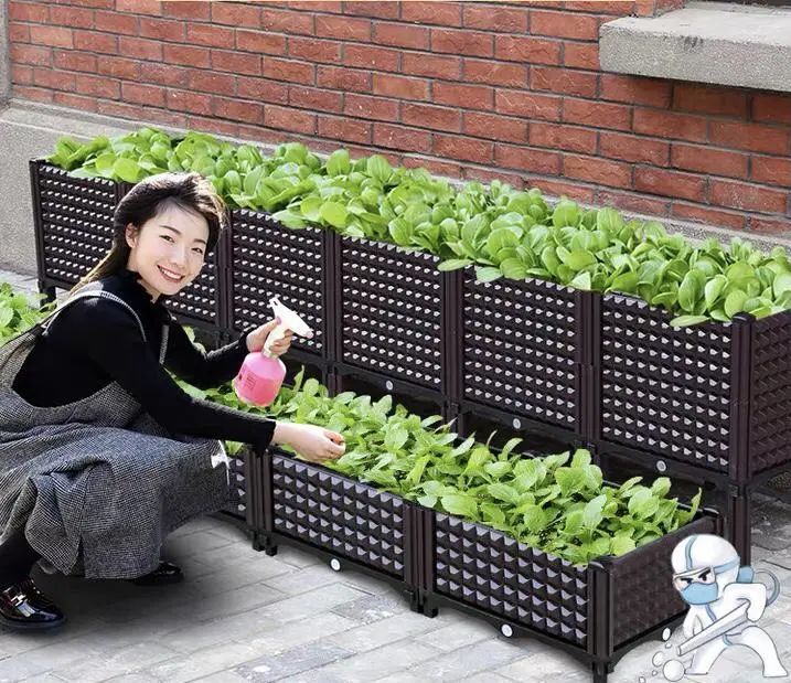 我在阳台疯狂种菜,有2000种神器,成行业TOP3