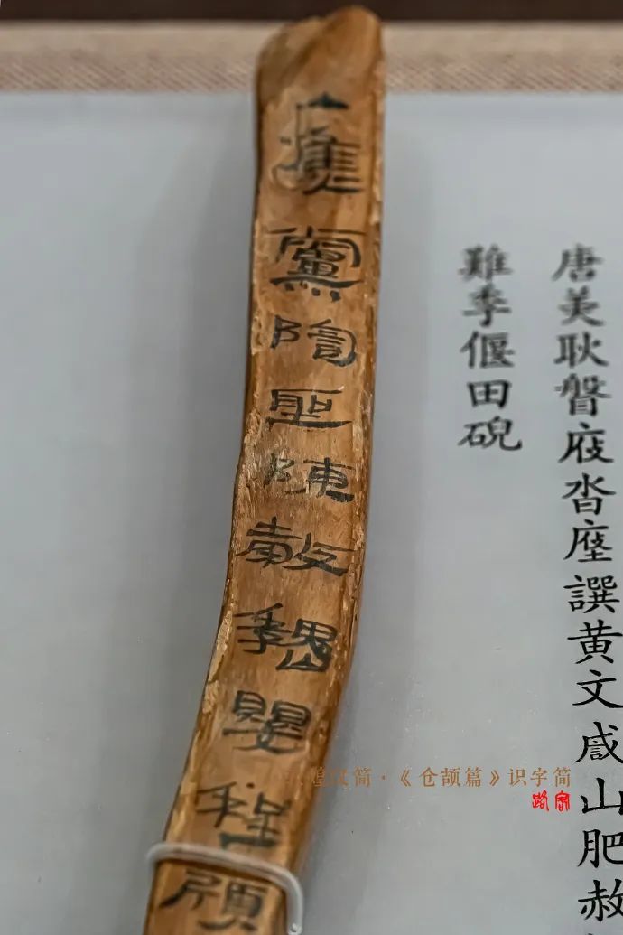 敦煌汉简《仓颉篇》，原来如此好看_凤凰网