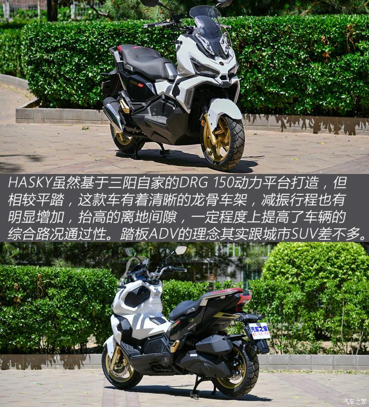 摩托中的雪橇犬实拍三阳huskyadv