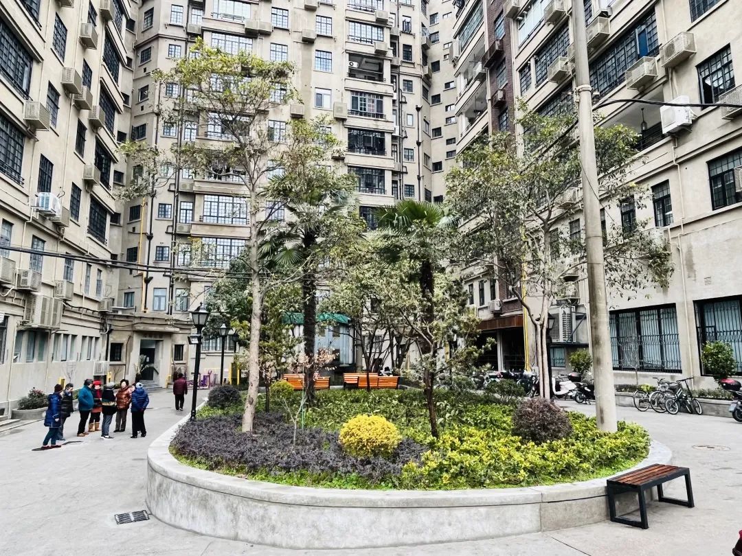 改造后的小花园