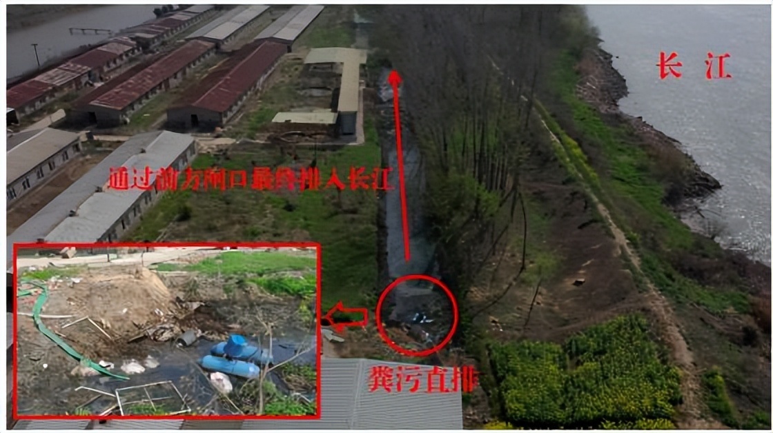 2022年3月26日，督察组现场督察发现，扬中市众康畜牧养殖有限公司将粪污经厂区水沟排入长江。图/生态环境部官网