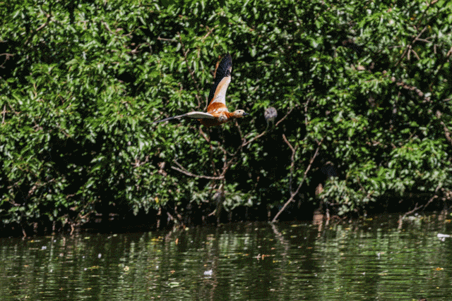 【有料评测】佳能EOS R7评测:全能的便携微单相机