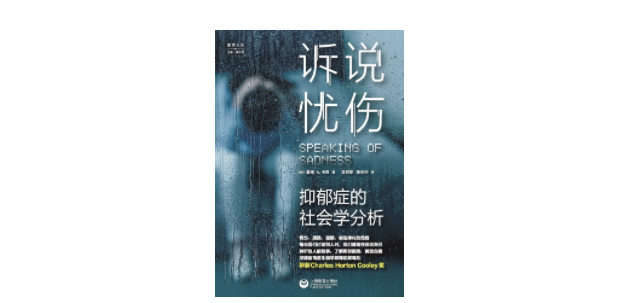 《诉说忧伤：抑郁症的社会学分析》，[美]戴维·A.卡普 著，幸君珺 萧易忻 译，上海教育出版社2022年10月版。