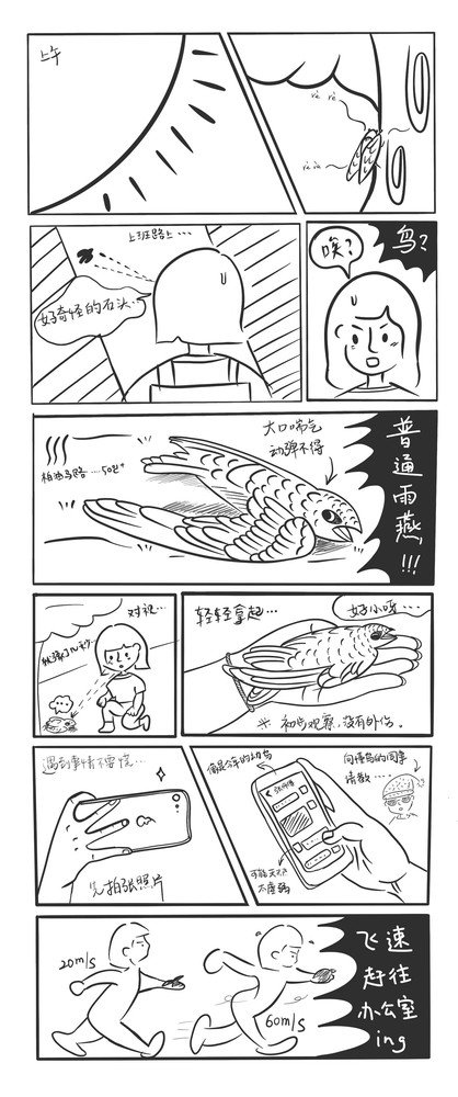保护北京雨燕漫画