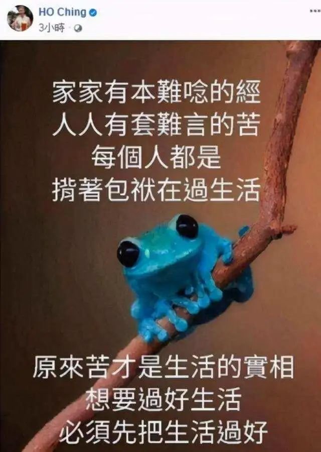 嘲讽美国、打脸台湾当局:新加坡第一夫人,为啥这么刚?