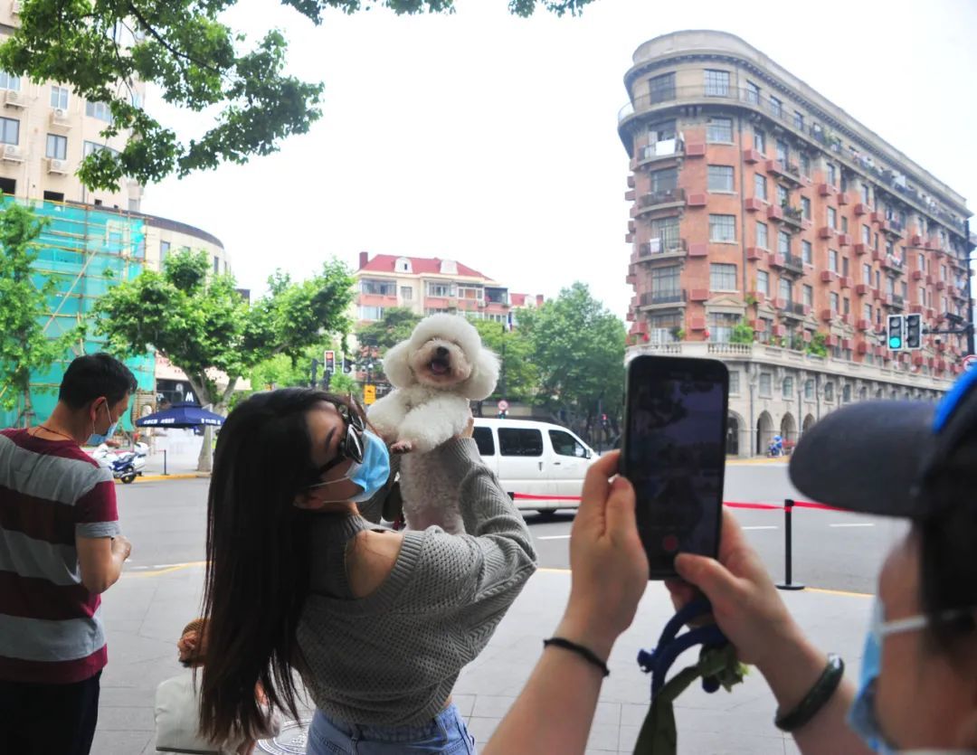 2022年5月30日，上海，当天，尽管天气有些炎热，但沪上著名的打卡景点---武康大楼周边也迎来不少专程前来打卡的市民。其中一些是从宝山、杨浦赶来的，有的还带了自己的宠物犬拍照留影。随着申城疫情防控转入常态化，街头的人气也在逐步复苏，市民惬意地坐在街边赏景聊天，拥抱久违的烟火气，回归往日如常的城市生活。图/IC
