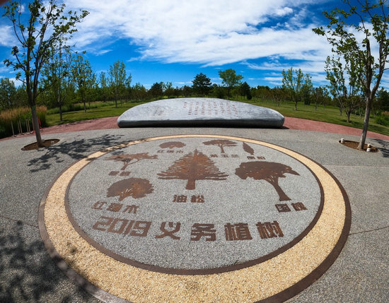 城市绿心森林公园内景观/摄影 郑立文