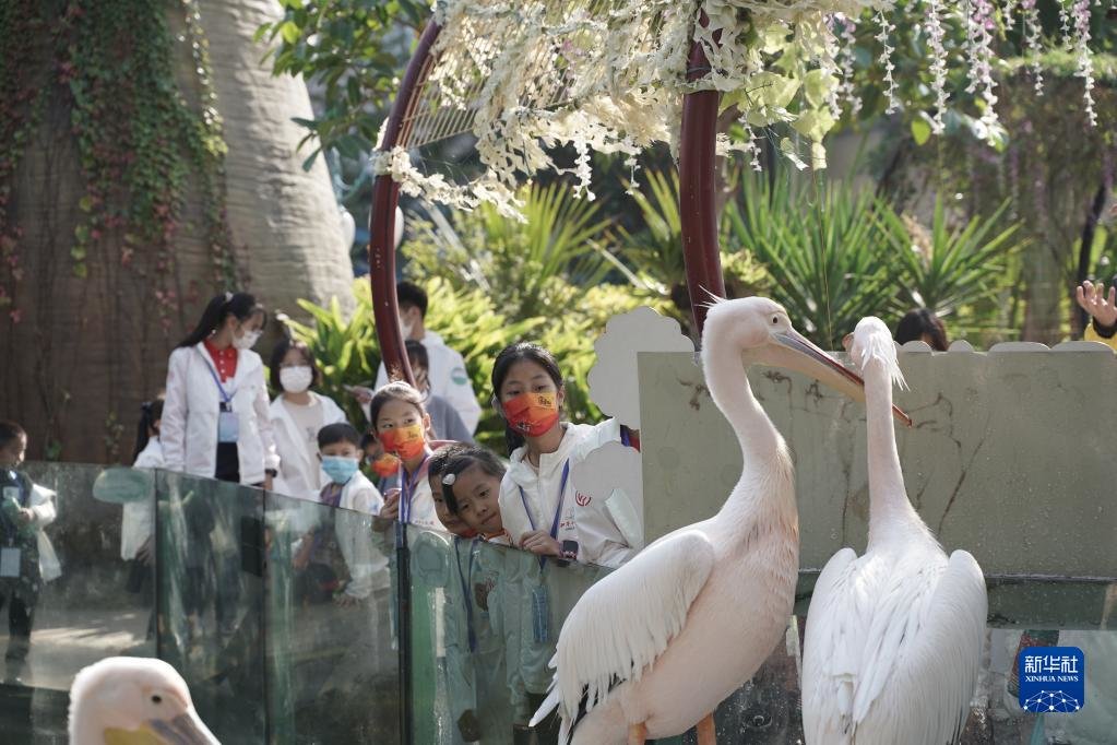 两岸“和平小天使”在厦门灵玲动物王国参观（2021年12月4日摄）。新华社发