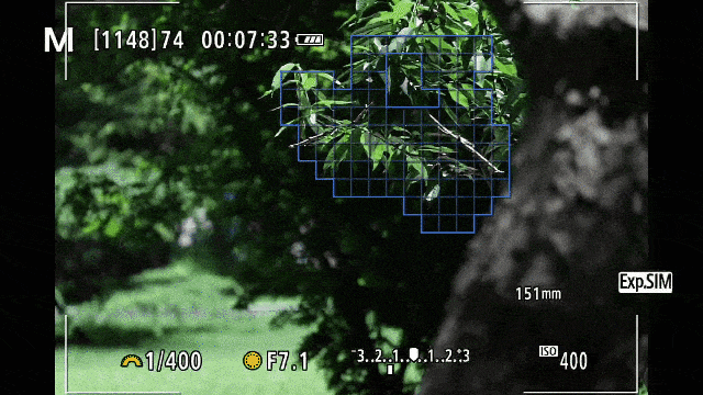 【有料评测】佳能EOS R7评测:全能的便携微单相机