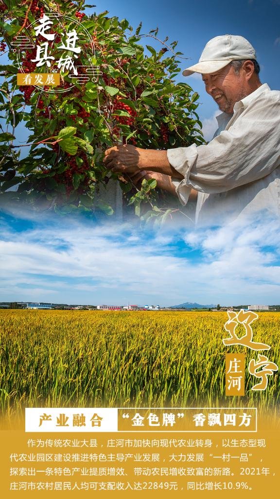 海报设计：刘舒、刘烜硕