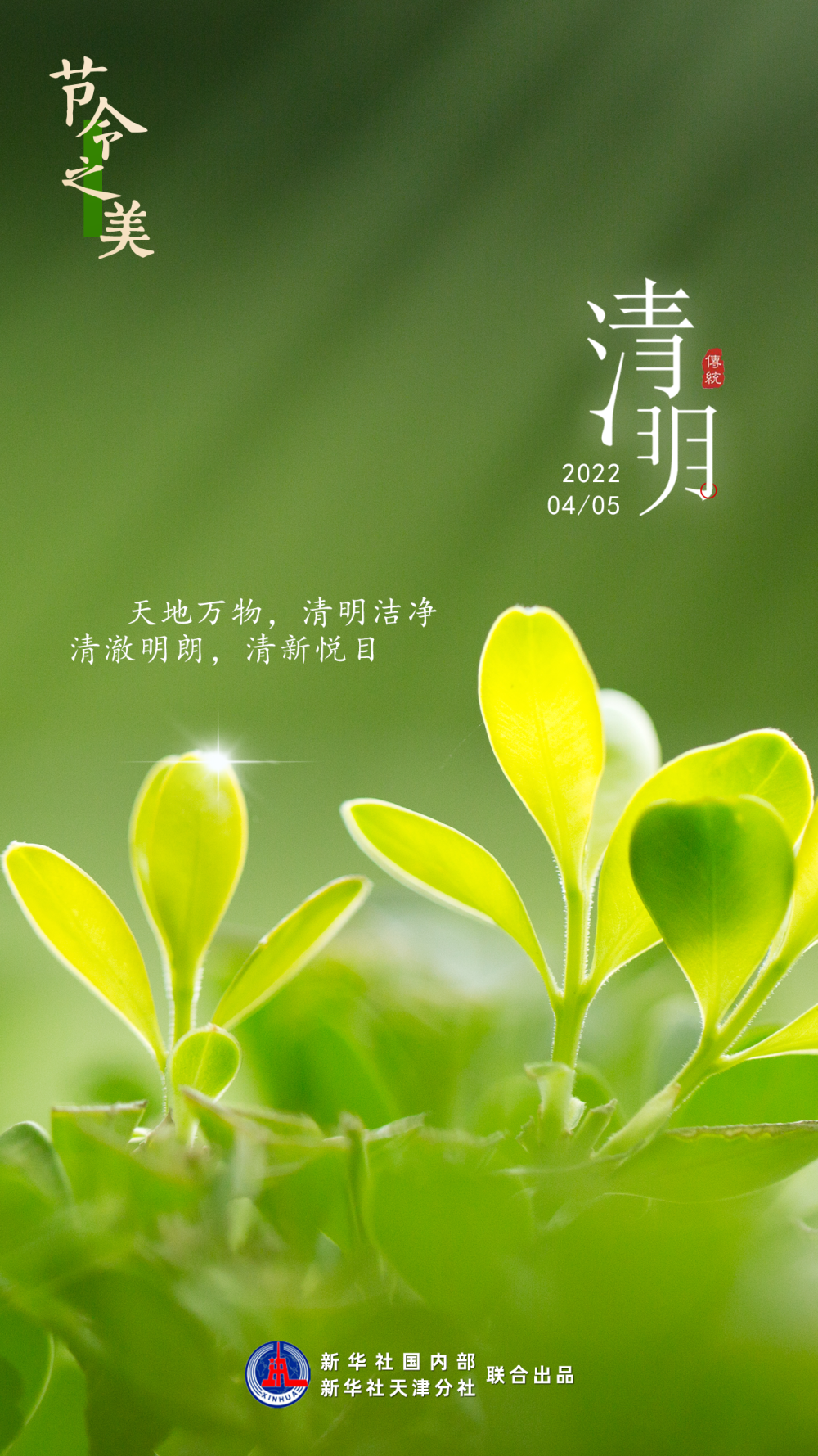 5日"清明":春色撩人眼,最美四月天