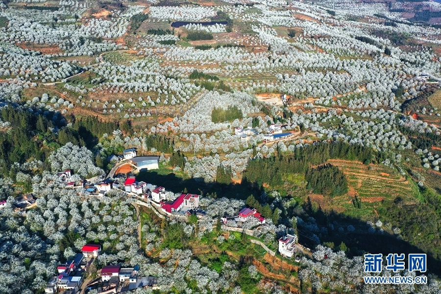 加级寨位于云南省红河哈尼族彝族自治州个旧市鸡街镇,三月春来,漫山