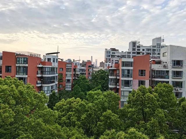 从李明喆的出租屋向窗外望,可以看到陆家嘴。 图/受访者提供